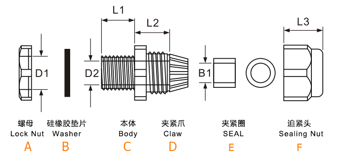 圖紙.jpg